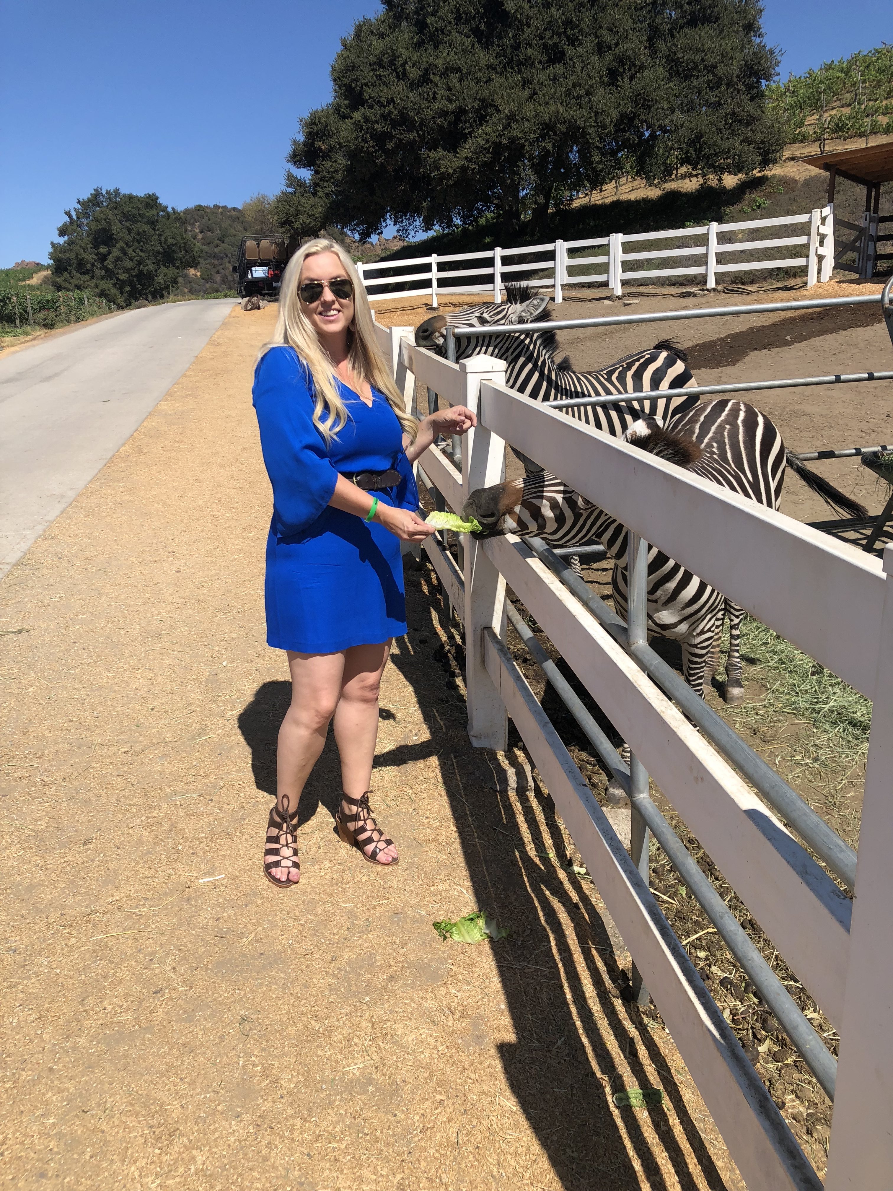 malibu wine safari