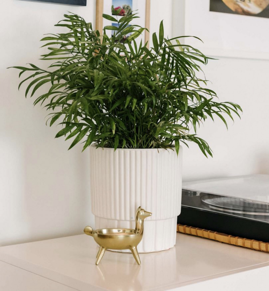 FLUTED planter