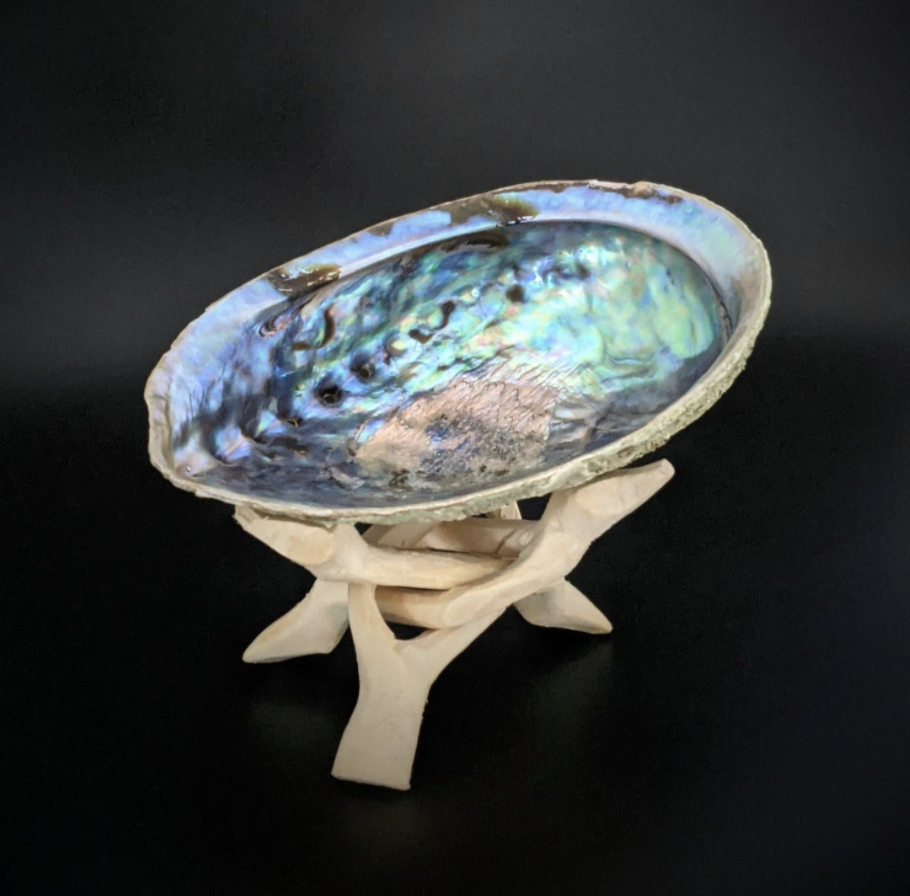 abalone shell bowl