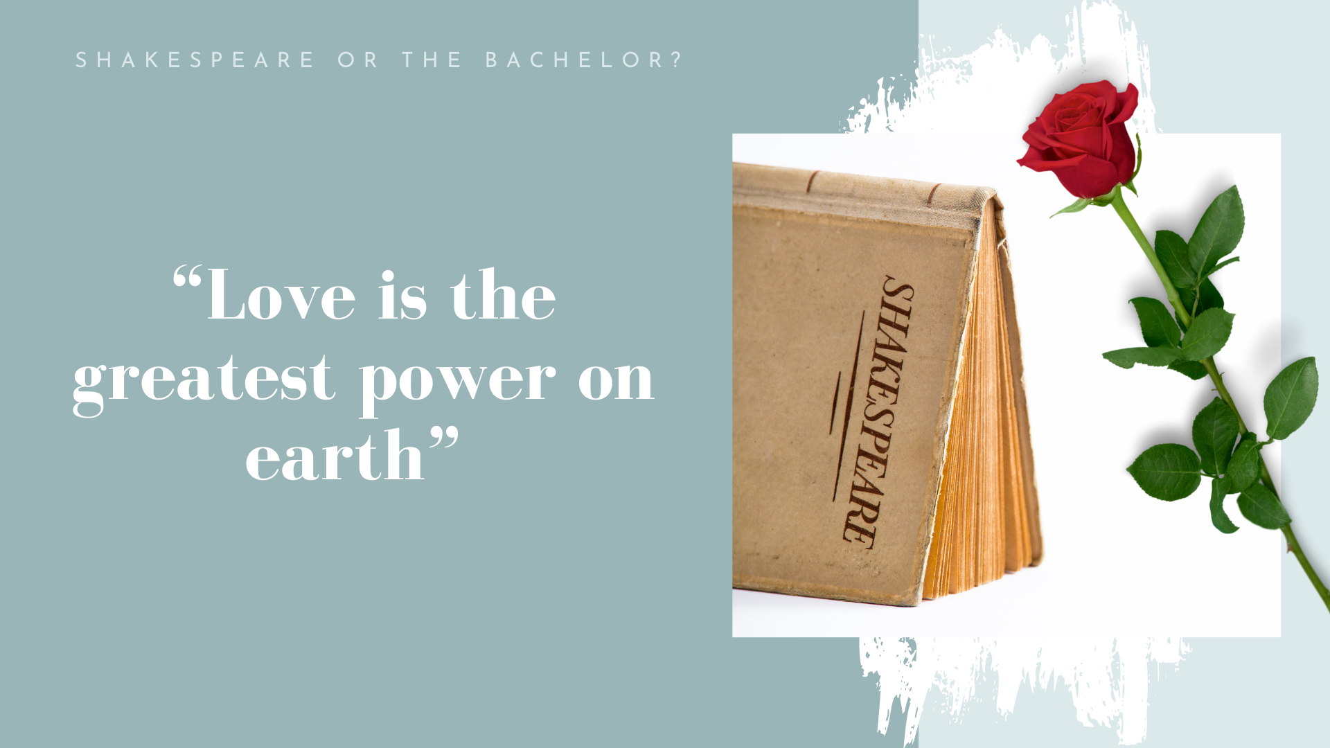 bachelor quote