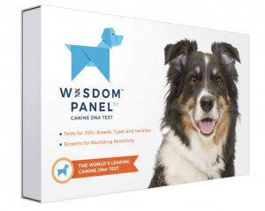 dog dna kit