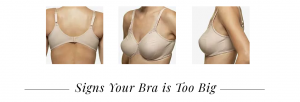 how should a bra fit