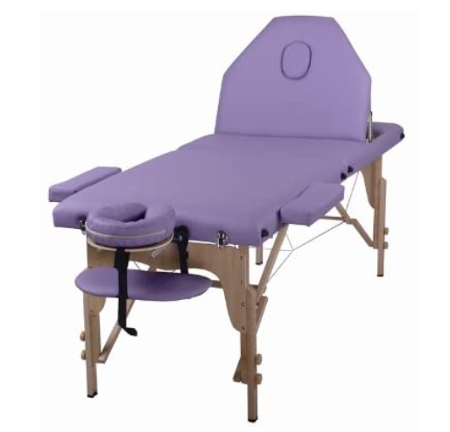 Saloniture Basic Portable Folding Massage Table