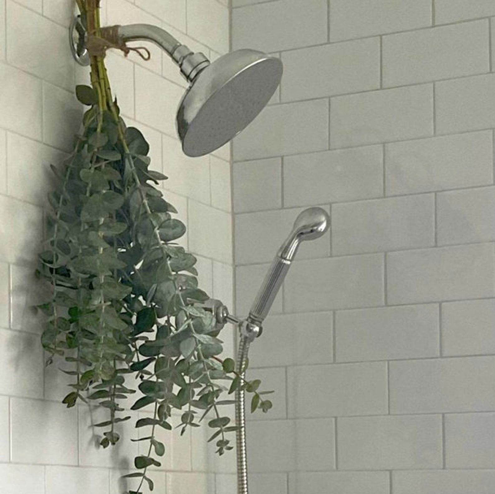 eucalyptus shower bundle