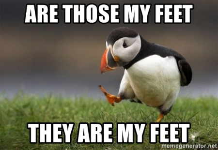 why so my feet hurt meme