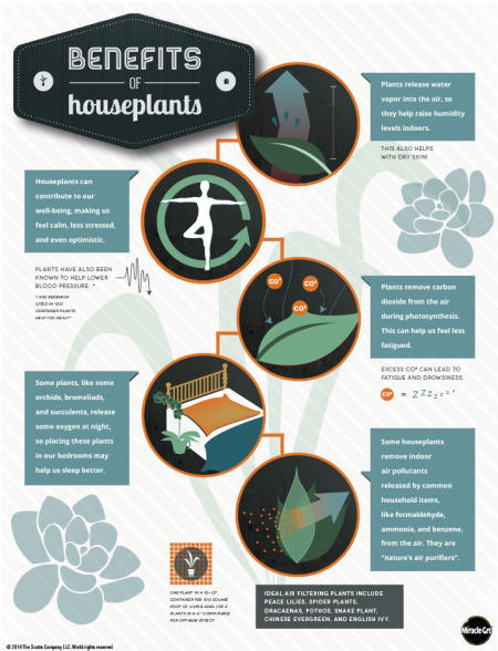 benefits of houseplants