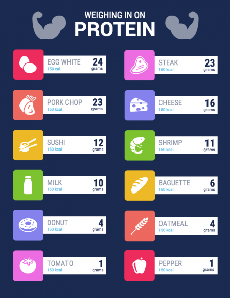 types of protein infographic