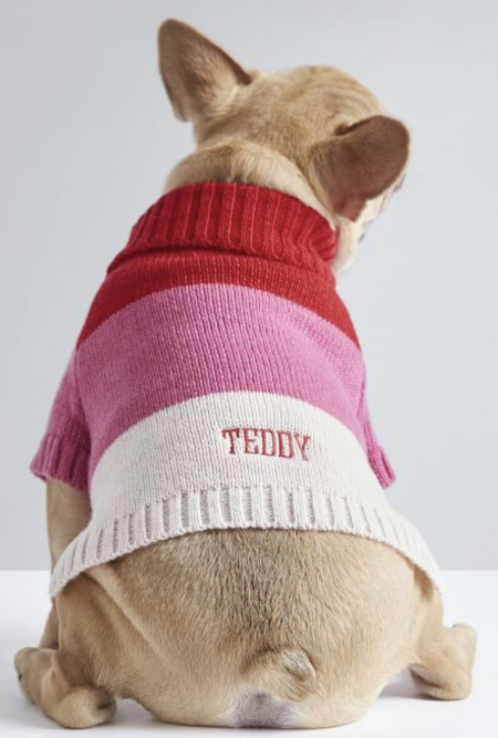 personalized dog sweater