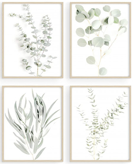 haus and hues botanical prints