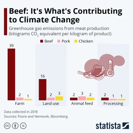 beef industry impact on climate change