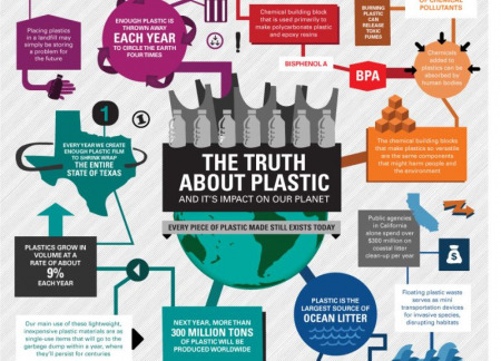 environmental toll of plastic
