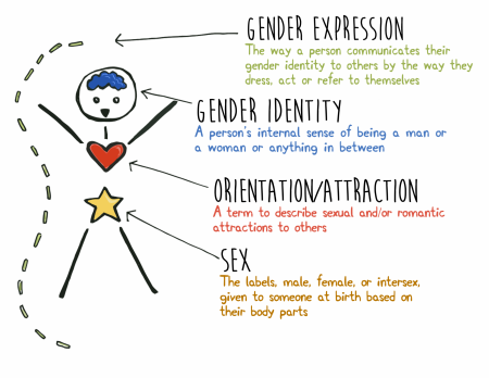 gender identity map