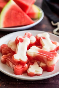 watermelon and yogurt frozen dog treats
