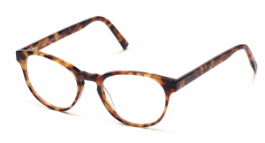 Warby Parker Whalen glasses